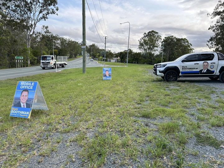 Community Roadside Guanaba